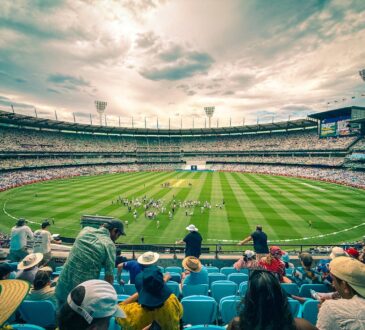 cricket-match